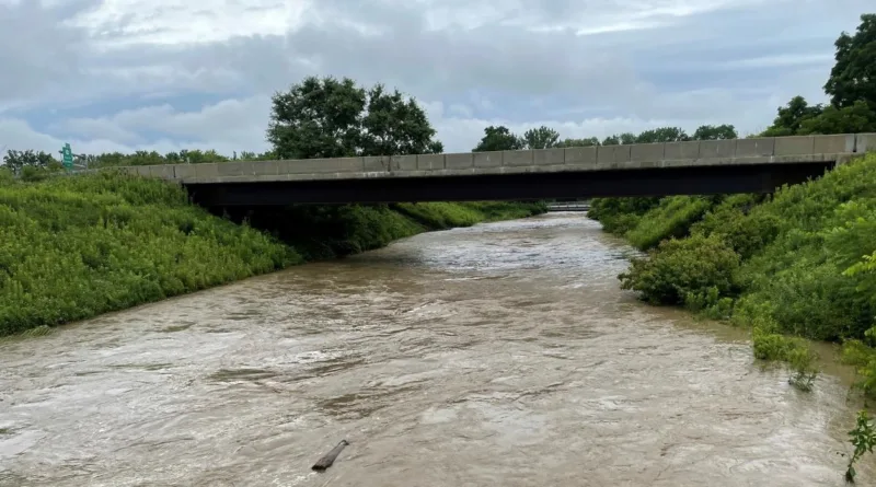 Ellery supports Bemus Creek dredging application